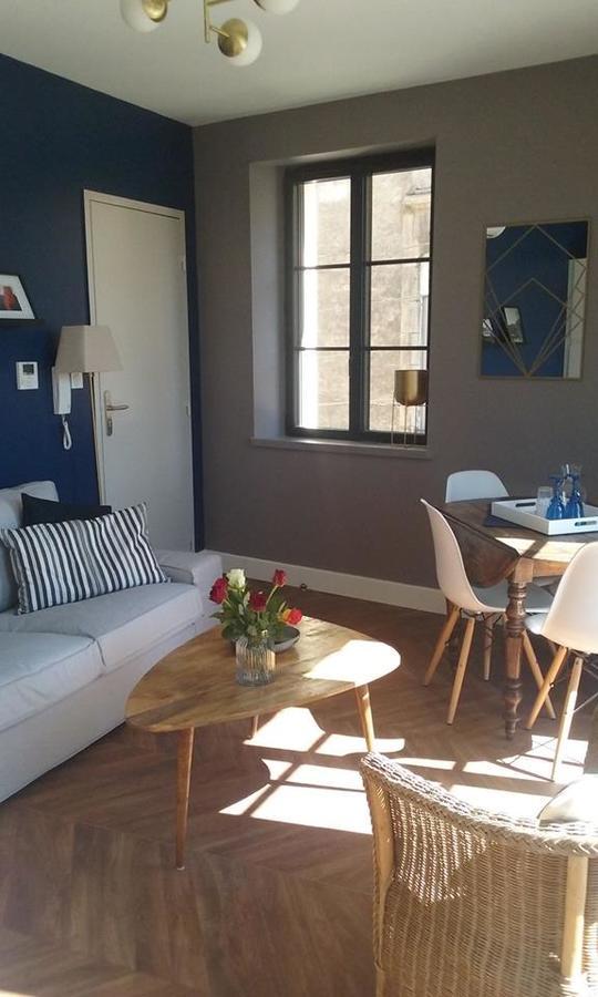 Le Bristol Appartement Canal & Chenier Canaldumidi カルカソンヌ エクステリア 写真