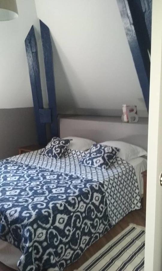 Le Bristol Appartement Canal & Chenier Canaldumidi カルカソンヌ エクステリア 写真